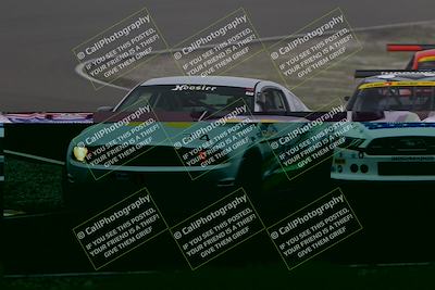 media/Jan-17-2026-CalClub SCCA (Sat) [[6b87d8fe28]]/Qual 4/Turn 3/